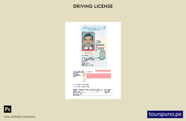 listo para imprimir el permiso de conducir de Tennessee de EE. UU. bajo plantill